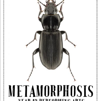 Metamorphosis poster